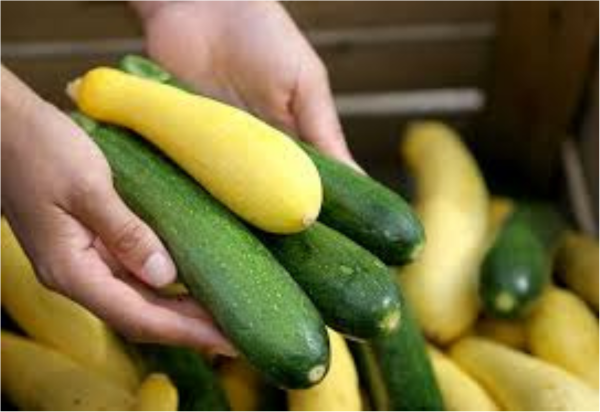 A hand holding several green and yellow squash